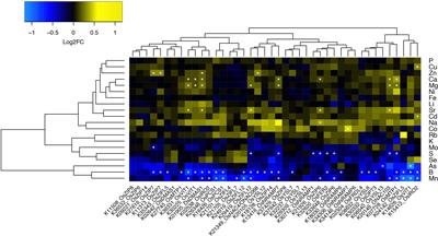 Elemental Profiling of Rice FOX Lines Leads to Characterization of a New Zn Plasma Membrane Transporter, OsZIP7